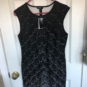Premise Studio Women's Dress